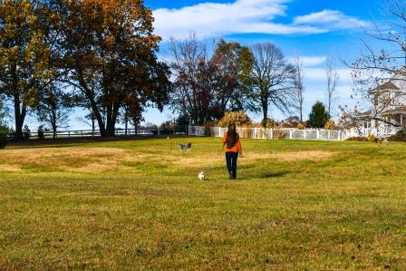 Fall Pictures